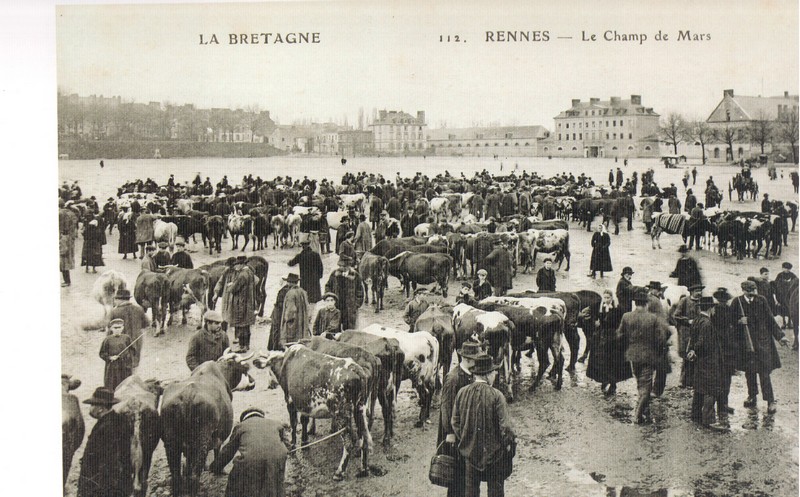 Fichier:Foire aux vaches sur le Champ de Mars289.jpg