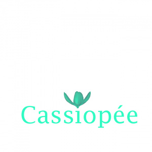 Logo du projet Cassiopée
