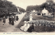 Le Jardin des Plantes. L'allée des Serres. Léon et lévy (LL 130). Coll. YRG et AmR1484