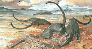 Les Diplodocus, reptiles terrestres par Mathurin Méheut. (extrait). Musée de géologie de l'Université de Rennes 1 - Géosciences Rennes UMR 6118, campus de Beaulieu