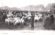 Foire aux porcs. Warnet-Lefevre (W.L. 166) antérieure à 1903. Coll. YRG et AmR 44Z2313