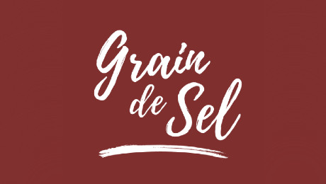 Fichier:Logo GrainDeSel.jpg