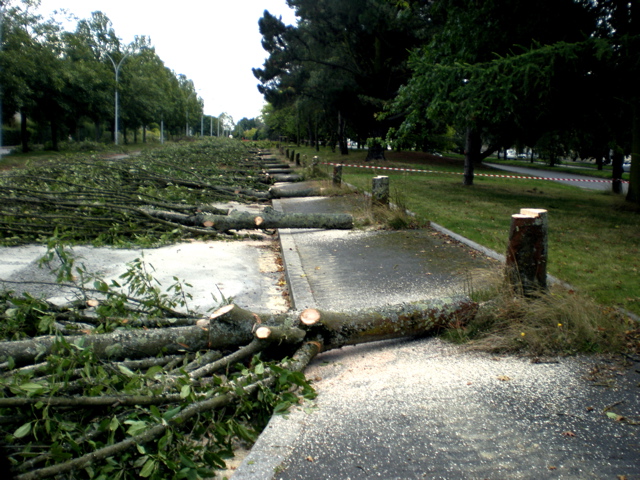 Fichier:Avenue du Languedoc - septembre 2008.jpg