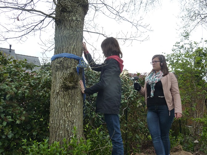 Fichier:Pont-Péan sons Baladocréatrices2.jpeg