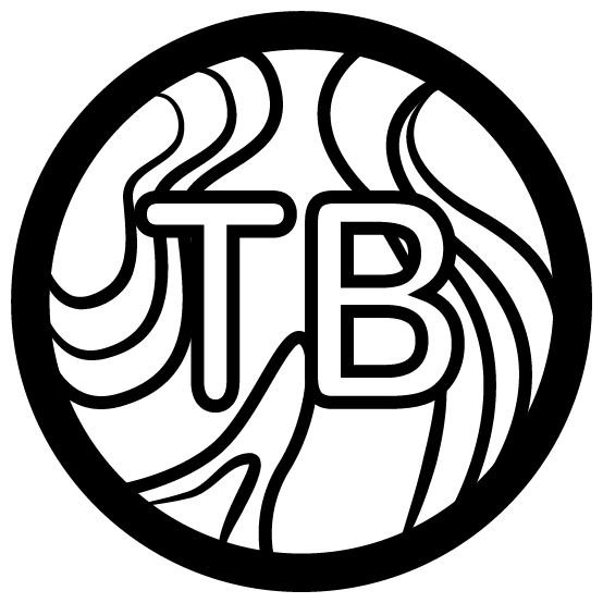 Fichier:Logo TerraByte.png