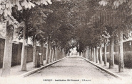 L'Avenue. Coll. YRG