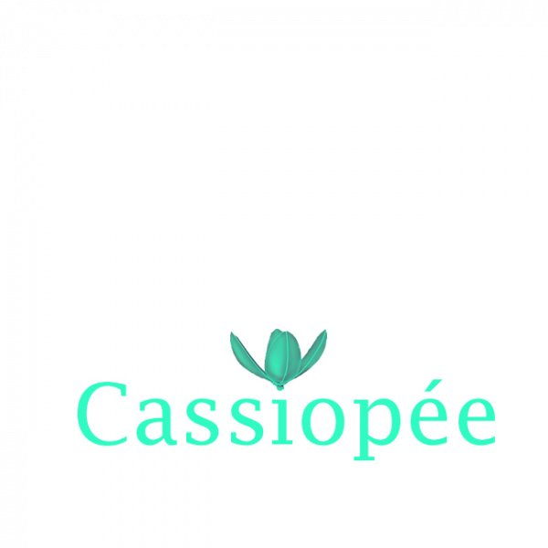 Fichier:Logo Cassiopée MMX2019.jpg