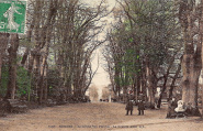 Le Jardin des Plantes. La Grande Allée. EMR GF 1097, voyagé 1909. Coll. YRG