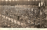8 - Les tombes des Soldats morts pour la Patrie (carré Sud). Coll. YRG et AmR 44Z