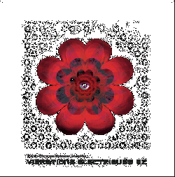 Vibrations electriques 2.gif