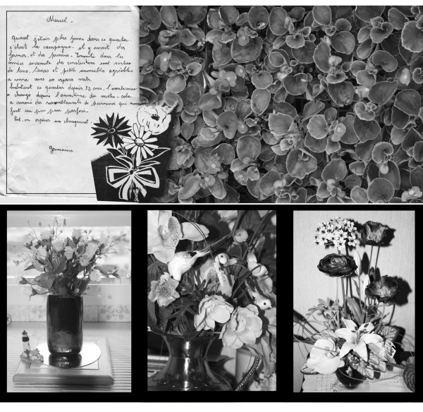 Correspondances citoyennes-Maria.jpg