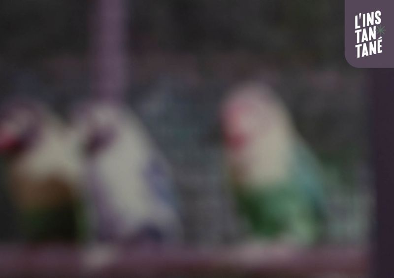 Fichier:2023 EXPO ETE FLYER RECTO.jpg