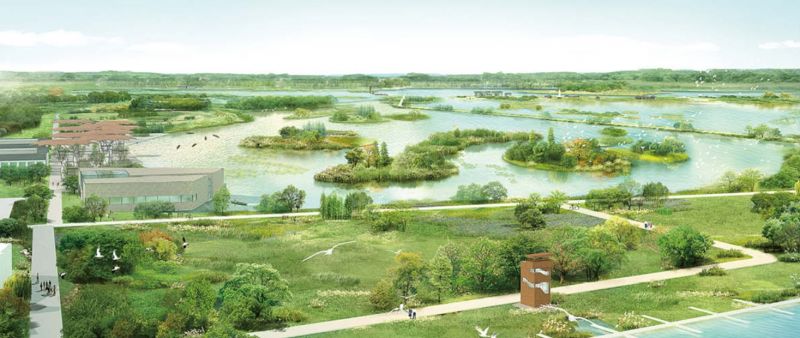 Fichier:Zone humide de Jinan.jpg