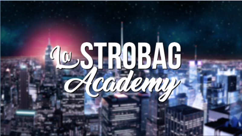 Fichier:Logo Strobag Academy.png