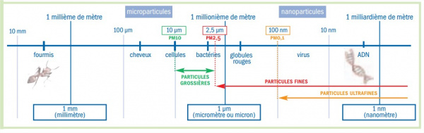 Taille particules.jpg