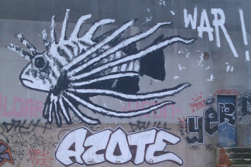 Fichier:Graffiti-Rascasse.jpg
