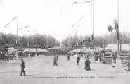 A.G. 7 - Allée Centrale. Coll. YRG et AmR 44Z0133